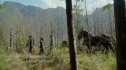the100209_0311.jpg