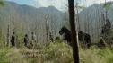the100209_0312.jpg