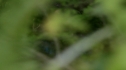 the100209_0326.jpg