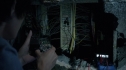 the100209_0923.jpg