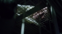 the100209_2216.jpg