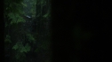 the100210_0001.jpg