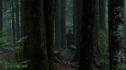 the100210_0053.jpg