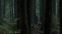 the100210_0054.jpg