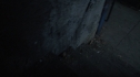 the100210_0380.jpg