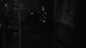 the100210_0382.jpg