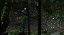 the100210_0557.jpg