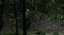 the100210_0558.jpg