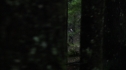 the100210_0560.jpg