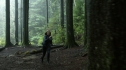 the100210_0619.jpg