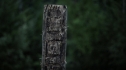 the100210_0715.jpg