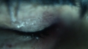 the100211_0001.jpg
