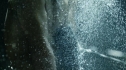 the100211_0065.jpg