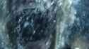 the100211_0075.jpg