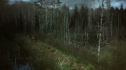 the100211_0145.jpg