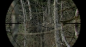 the100211_0170.jpg