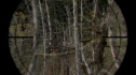the100211_0221.jpg