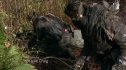 the100211_0271.jpg