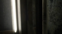 the100211_1436.jpg