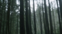 the100212_0005.jpg