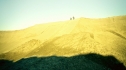 the100212_0412.jpg