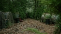the100212_1068.jpg