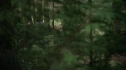 the100212_1407.jpg