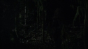 the100212_1712.jpg