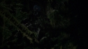 the100212_1751.jpg