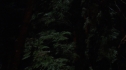 the100213_0001.jpg