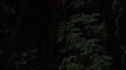 the100213_0002.jpg