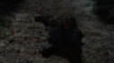the100213_0039.jpg
