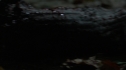 the100213_0042.jpg
