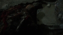 the100213_0134.jpg