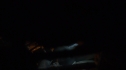 the100213_0250.jpg