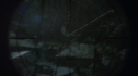 the100213_0331.jpg