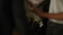 the100213_0575.jpg