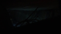 the100213_0599.jpg