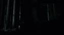 the100213_0836.jpg