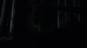 the100213_0837.jpg