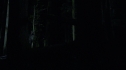 the100213_0838.jpg