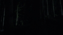 the100213_0839.jpg