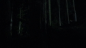 the100213_0840.jpg