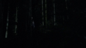 the100213_0841.jpg