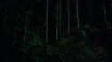 the100213_0844.jpg
