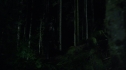the100213_0845.jpg