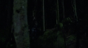 the100213_0846.jpg
