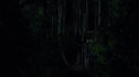 the100213_0856.jpg