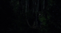 the100213_0857.jpg