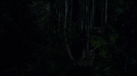 the100213_0858.jpg